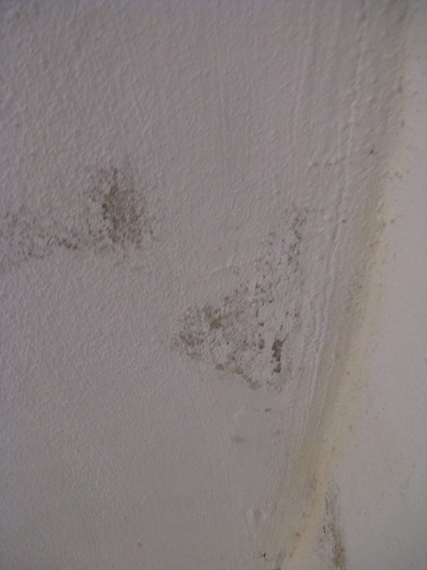 Bei Schimmel im Keller: Richtiges lüften im Sommer ist wichtig